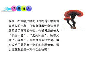 廣東省東莞市長(zhǎng)安實(shí)驗(yàn)中學(xué)八年級(jí)生物上冊(cè) 第二批教學(xué)能手評(píng)選 5.4.3 真菌課件 （新版）新人教版