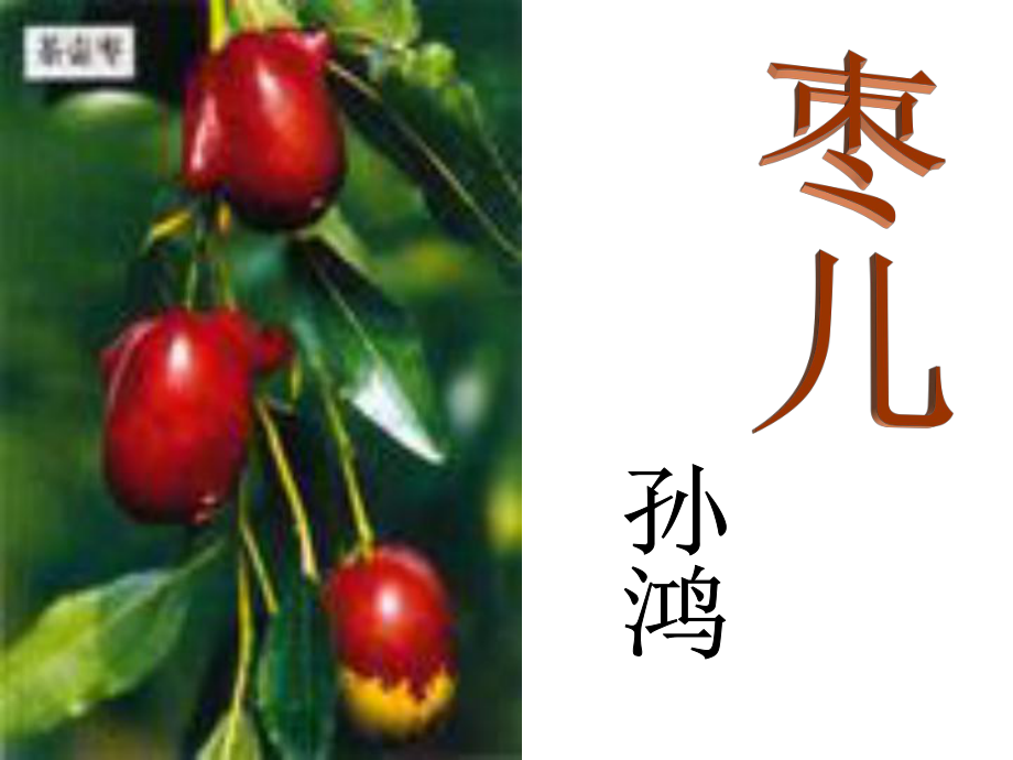 九年級(jí)語(yǔ)文下冊(cè) 15《棗兒》課件2 新人教版_第1頁(yè)