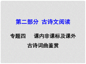 湖南中考語文 第二部分 古詩文閱讀 專題4 課內(nèi)非課標(biāo)及課外古詩詞曲鑒賞復(fù)習(xí)課件 新人教版