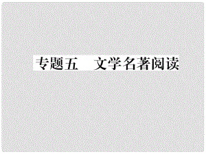 九年級(jí)語文上學(xué)期期末復(fù)習(xí)專題 專題五 文學(xué)名著閱讀課件 新人教版