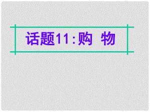 名師指津高三英語二輪復(fù)習(xí) 第四部分 附錄一 24個話題寫作必備語塊 話題11 購物課件