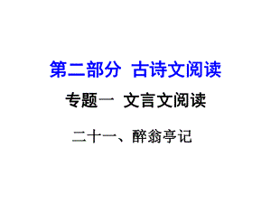 湖南益陽中考語文 第二部分 古詩文閱讀 專題一 文言文 21《醉翁亭記》復(fù)習(xí)課件 語文版