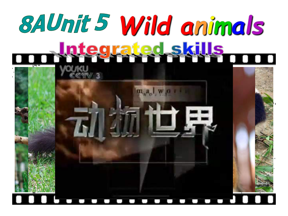 江蘇省永豐初級中學(xué)八年級英語上冊《Unit 5 Wild animals Integrated skills》課件 （新版）牛津版_第1頁