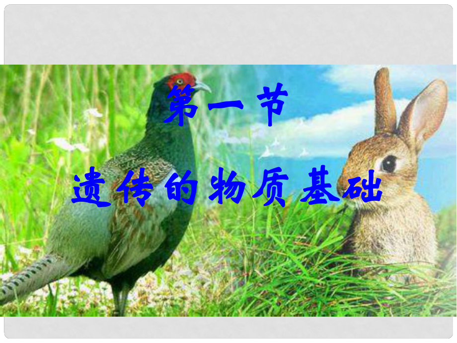 八年級生物上冊 第四單元 第四章 第一節(jié) 遺傳的物質(zhì)基礎(chǔ)課件 （新版）濟(jì)南版_第1頁