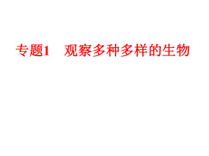 備戰(zhàn)策略中考科學(xué) 第一部分 生命科學(xué) 專題1 觀察多種多樣的生物課件