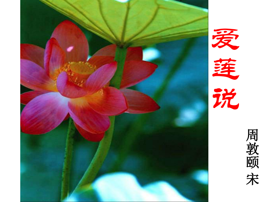 安徽省固鎮(zhèn)三中七年級(jí)語(yǔ)文下冊(cè) 第五單元 專(zhuān)題《愛(ài)蓮說(shuō)》課件（2）（新版）蘇教版_第1頁(yè)