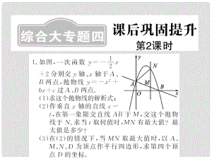 中考數(shù)學(xué)一輪復(fù)習(xí) 課后鞏固提升 綜合大專(zhuān)題四 第2課時(shí)課件 新人教版