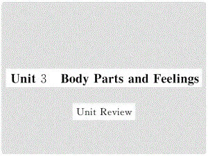 七年級英語上冊 Unit 3 Body Parts and Feelings Unit Review課件 （新版）冀教版