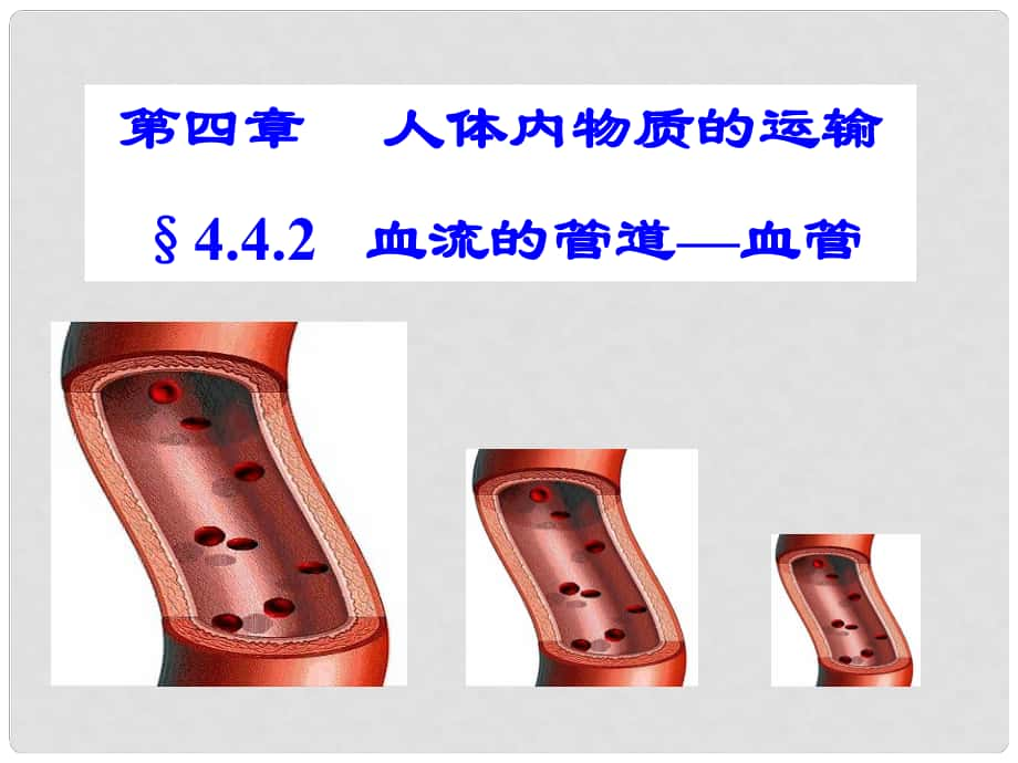 七年級生物下冊 第四章 第二節(jié) 血流的管道 血管課件 （新版）新人教版_第1頁