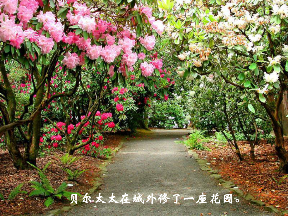 三年級(jí)語(yǔ)文下冊(cè) 第1單元 5《荒蕪的花園》課件1 滬教版_第1頁(yè)