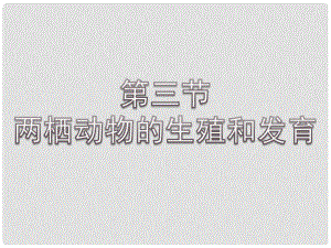 安徽省蚌埠市固鎮(zhèn)縣第三中學(xué)八年級(jí)生物下冊(cè) 第七單元 第一章 第三節(jié) 兩棲動(dòng)物的生殖和發(fā)育課件（新版）新人教版