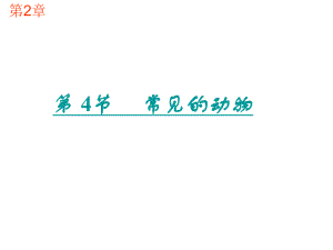 浙江省金華市第十六中學(xué)七年級(jí)科學(xué)上冊(cè) 第2章 第4節(jié) 常見的動(dòng)物課件 （新版）浙教版