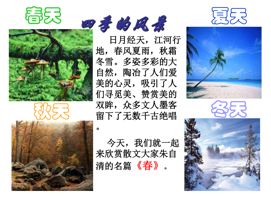 七年級(jí)語(yǔ)文上冊(cè) 15《》課件 蘇教版_第1頁(yè)