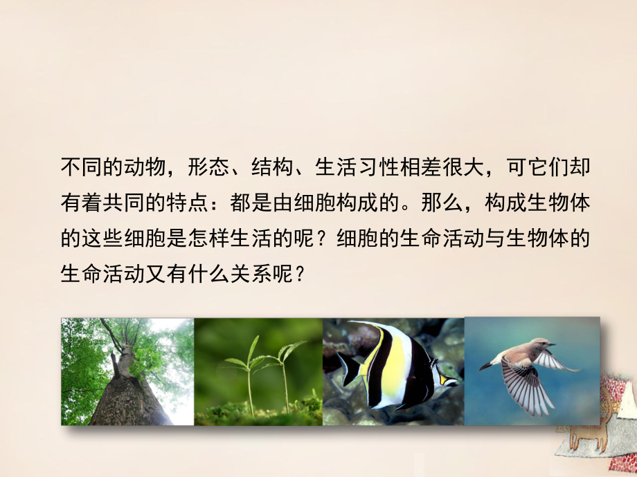 七年级生物上册 3.2 细胞是生命活动的单位优教课件（1） 北师大版_第1页