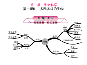 浙江省中考科學(xué)第一輪總復(fù)習(xí) 第一篇 生命科學(xué) 第1課時(shí) 多種多樣的生物課件