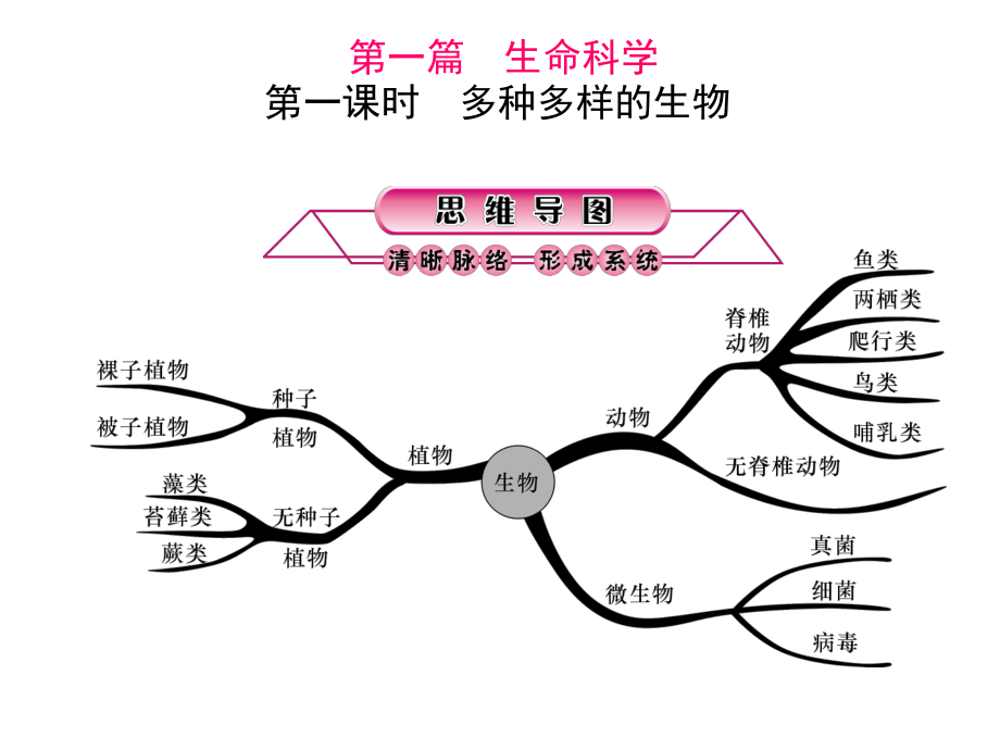 浙江省中考科學(xué)第一輪總復(fù)習(xí) 第一篇 生命科學(xué) 第1課時 多種多樣的生物課件_第1頁