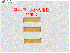 廣東省中山市中考生物沖刺復(fù)習(xí) 基礎(chǔ)梳理 第14章 人體內(nèi)廢物的排出課件 新人教版