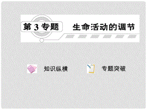 高三生物二輪復(fù)習(xí) 第3專題 生命活動的調(diào)節(jié)課件