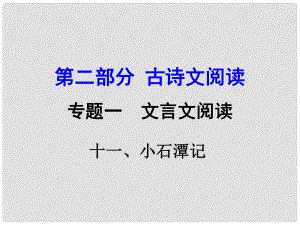 湖南益陽中考語文 第二部分 古詩(shī)文閱讀 專題一 文言文 11《小石潭記》復(fù)習(xí)課件 語文版