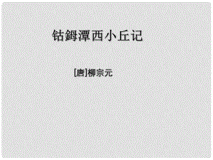 高中語(yǔ)文 《鈷姆潭西小丘記》課件 蘇教版選修《唐宋八大家散文選讀》