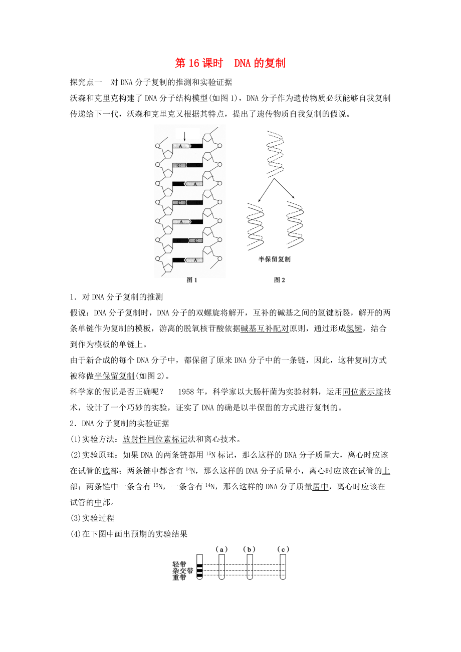 山東省濟(jì)寧市高一生物上學(xué)期 第二課時 DNA的復(fù)制練習(xí)無答案_第1頁