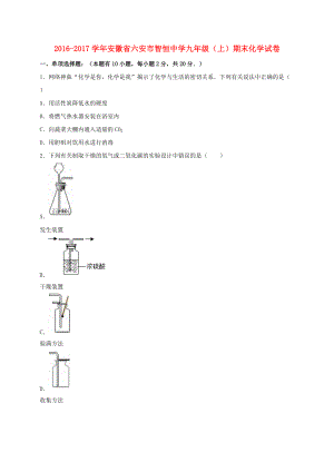 九年級化學(xué)上學(xué)期期末試卷含解析 新人教版