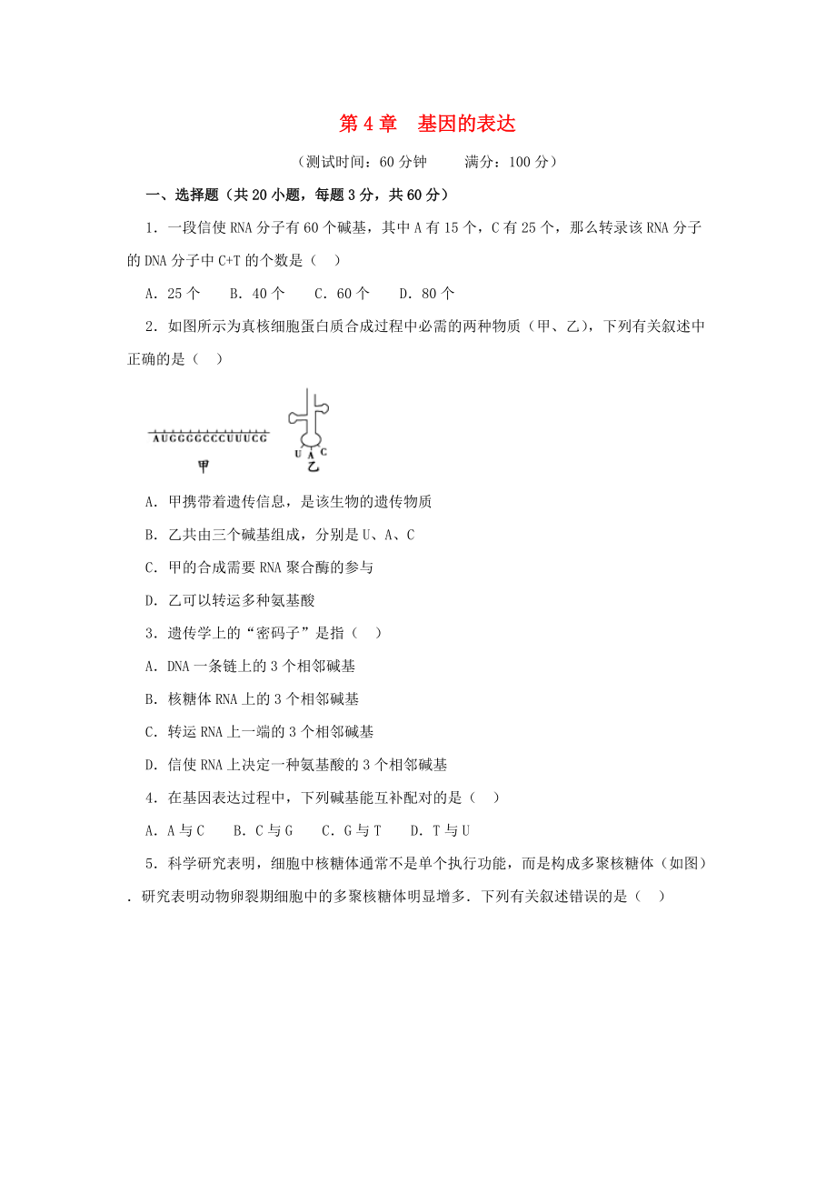 山東省濟寧市高一生物上學期 第十三課時 第4章 基因的表達測試卷能力提升卷練習無答案_第1頁