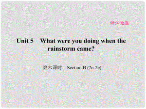 原（浙江專用）八年級英語下冊 Unit 5 What were you doing when the rainstorm came（第6課時）Section B 2c2e)課件 （新版）人教新目標版