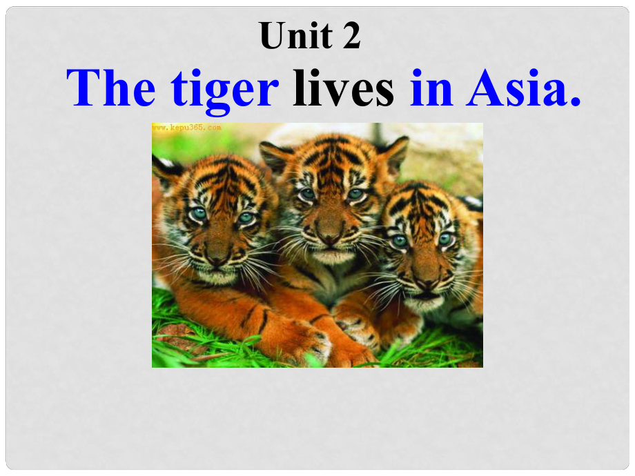 七年级英语上册 Module 6 A trip to the zoo Unit 2 The tiger lives in Asia教学案例课件 （新版）外研版_第1页