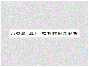 中考物理總復(fù)習(xí) 小專題三 杠桿的動態(tài)分析課件 新人教版