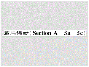 八年級英語下冊 Unit 9 Have you ever been to a museum（第2課時）Section A（3a3c）作業(yè)課件 （新版）人教新目標版