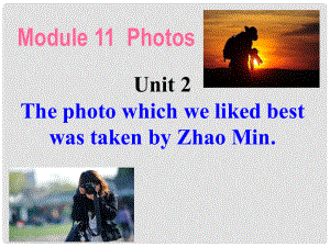 廣西中峰鄉(xiāng)育才中學(xué)九年級(jí)英語上冊(cè) Module 11 Unit 2 The photo which we liked best was takenZhao Min教學(xué)課件 （新版）外研版