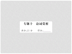 中考語文 第五部分 寫作訓(xùn)練 專題十 詩詞賞析課件