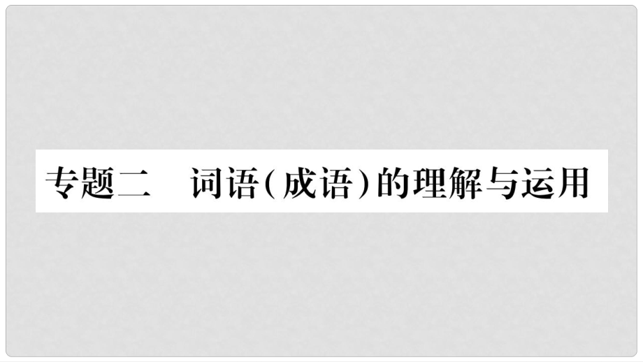 中考語文總復(fù)習(xí) 專題2 詞語（成語）的理解與運(yùn)用課件_第1頁