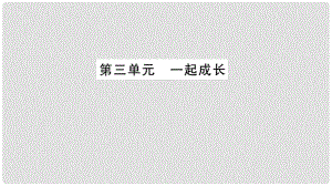 中考政治 教材系統(tǒng)總復習 七下 第三單元 一起成長課件 人民版