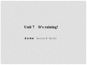 原（浙江專版）七年級英語下冊 Unit 7 It's raining（第5課時）Section B(2a3c)課件 （新版）人教新目標版