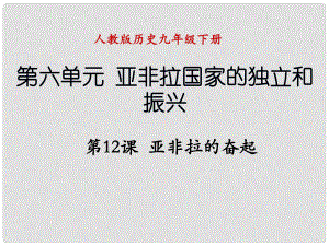 遼寧省撫順市九年級歷史下冊 第六單元 第12課 亞非拉的奮起課件 新人教版