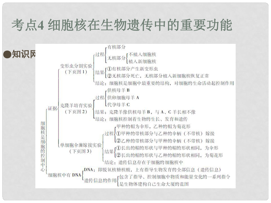 中考易（廣東專(zhuān)版）中考生物 第2單元 考點(diǎn)4 細(xì)胞核在生物遺傳中的重要功能課件 新人教版_第1頁(yè)