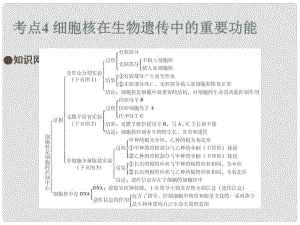 中考易（廣東專版）中考生物 第2單元 考點4 細胞核在生物遺傳中的重要功能課件 新人教版