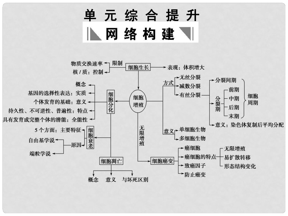 高考生物一輪復(fù)習(xí) 第6章 細胞的生命歷程 單元綜合提升　課件 新人教版必修1_第1頁