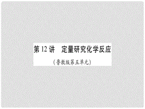 中考化學(xué)總復(fù)習(xí) 第一輪 知識(shí)系統(tǒng)復(fù)習(xí) 第十二講 定量研究化學(xué)反應(yīng)課件 魯教版