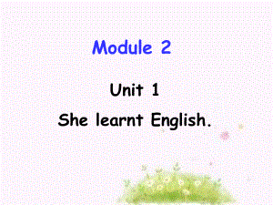 五年級(jí)英語(yǔ)下冊(cè) Module 2 Unit 1《She learnt English》課件1 （新版）外研版（三起）