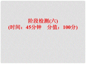 中考化學(xué) 第一部分 教材梳理 階段練習(xí) 階段檢測（六）課件 （新版）魯教版