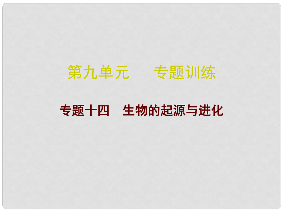 广东省中考生物总复习 第九单元 专题训练十四 生物的起源与进化课件_第1页