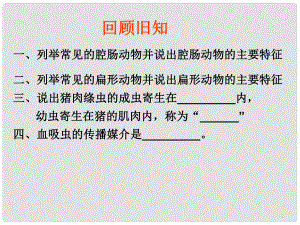 河北省石家莊創(chuàng)新國際學(xué)校七年級生物上冊 第1單元 第4章 第3節(jié) 線形動物和環(huán)節(jié)動物課件 冀教版