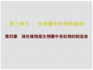 廣東省中考生物 第三單元 第四章 綠色植物是生物圈中有機物的制造者復習課件