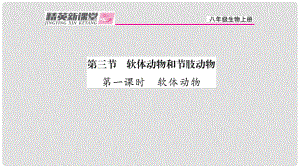 八年級生物上冊 第五單元 第一章 第三節(jié) 軟體動(dòng)物和節(jié)肢動(dòng)物（第1課時(shí) 軟體動(dòng)物）課件 （新版）新人教版