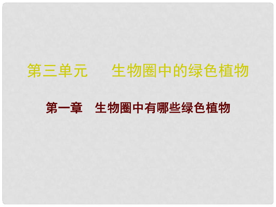 廣東省中考生物 第三單元 第一章 生物圈中有哪些綠色植物復(fù)習(xí)課件_第1頁