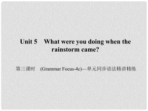 原八年級英語下冊 Unit 5 What were you doing when the rainstorm came（第3課時(shí)）(Grammar Focus4c)同步語法精講精練課件 （新版）人教新目標(biāo)版