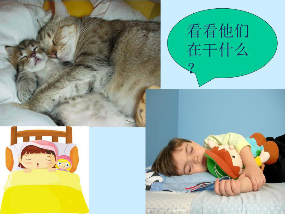 西師版《植物的睡眠》PPT.ppt_第1頁